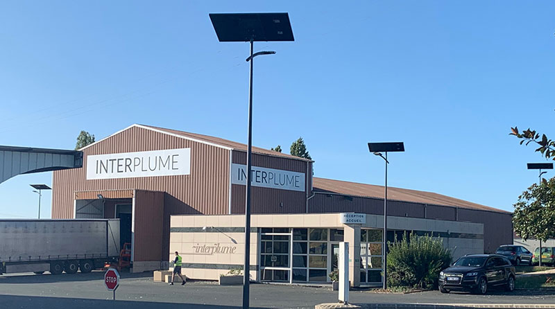 solar lighting illuminating a parking lot at a commercial property, showcasing energy efficiency, sustainability, and solar lighting solutions