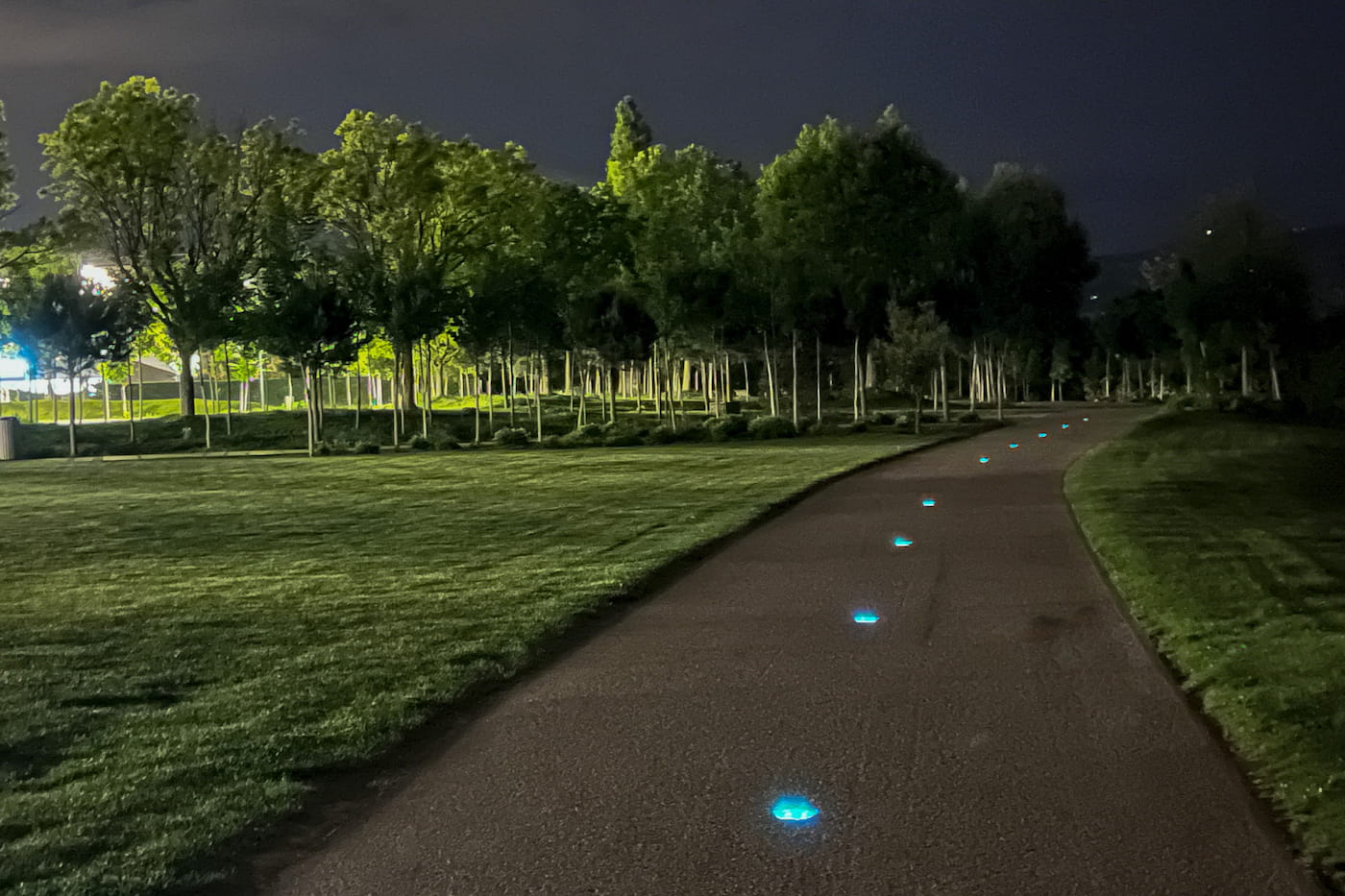 NOWATT Crystal solar studs casting soft blue light along a tree-lined pathway at night, enhancing park safety and visibility with discreet, off-grid illumination.