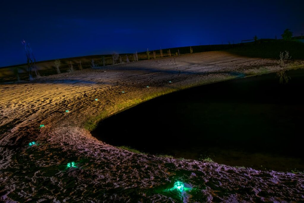 Solar-powered Nowatt Crystal Studs marking a curved waterfront trail at night with soft green illumination for enhanced safety and ambiance.