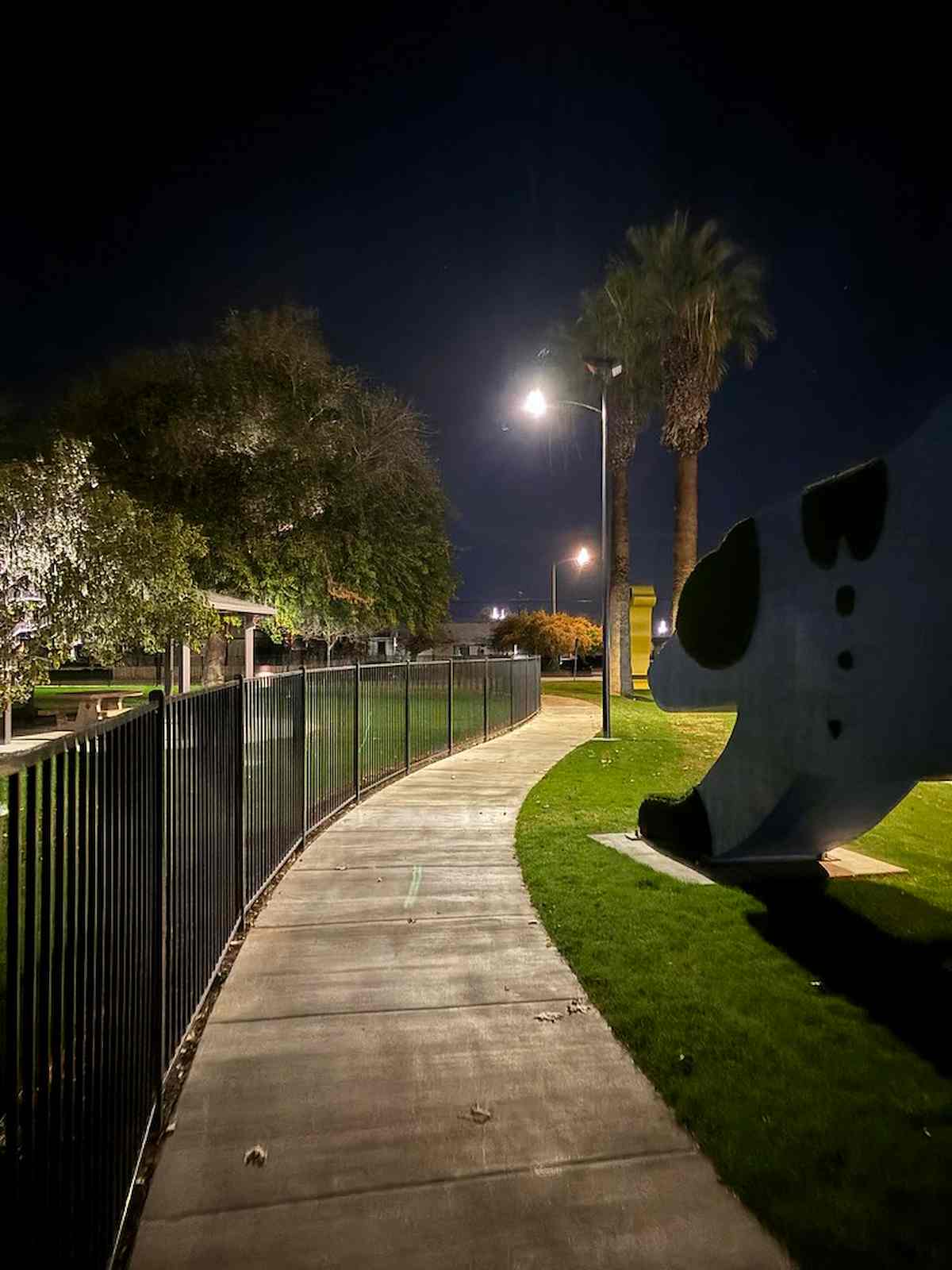 Solar-powered lighting illuminating a public park walkway in South Carolina at night, promoting safety and community connection.